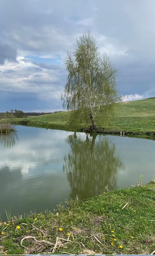Agroturystyka Nad Jeziorem Silickim Ilinscy Silice Extérieur photo