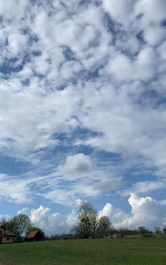 Agroturystyka Nad Jeziorem Silickim Ilinscy Silice Extérieur photo
